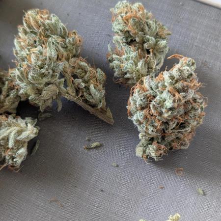 Gelato Cookies Auto #2