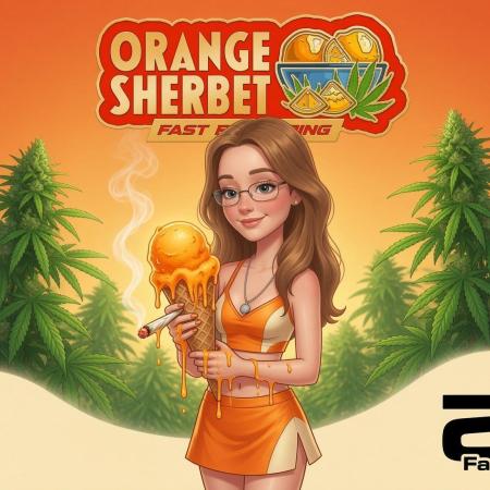 Orange Sherbet FF