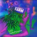 LSD Auto LED grow