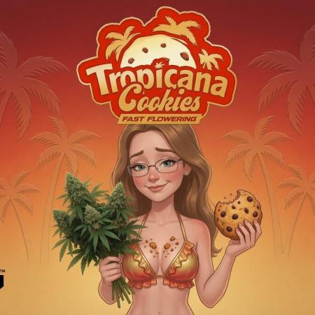 Tropicana Cookies FF