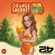 Orange Sherbet FF