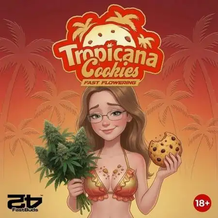 Tropicana Cookies FF