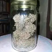 Top-dress-off Grean Bycicle's