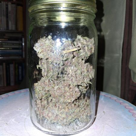 Top-dress-off Grean Bycicle's