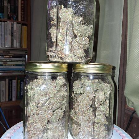 Top-dress-off One-Shot NFTG