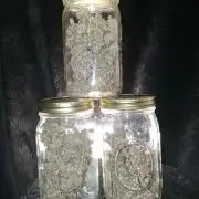 Night Owl collab
