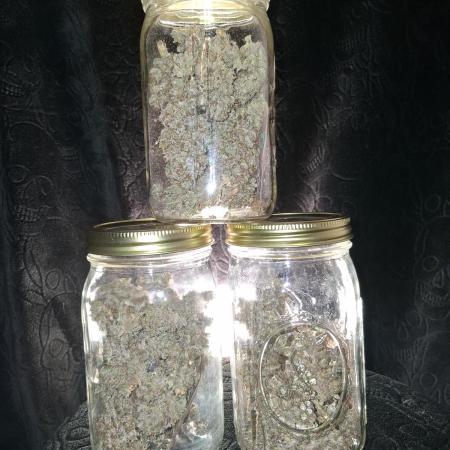 Night Owl collab