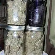 Top-dress-off Kaiju Nutrients