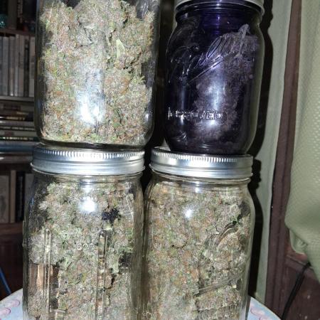 Top-dress-off Kaiju Nutrients