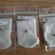 Taste the Terps 🍊