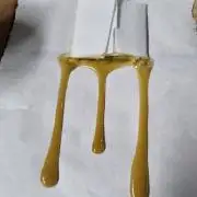 CO2 Grow: Umami & Exotic Genetix