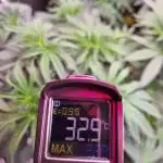 CO2 Grow: LIT Farms & Humboldt S. C.