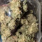 Zoap auto