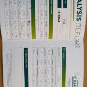 Zoap auto
