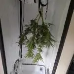 ThirdTryBioOutdoor[GER]