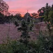 6th Try Bio Outdoor [Ger]
