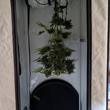 6th Try Bio Outdoor [Ger]