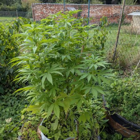 4thTryBioOutdoor[Ger]
