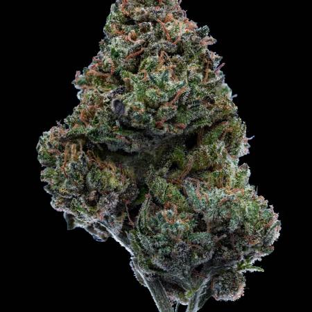 Slapz OriginalSensible