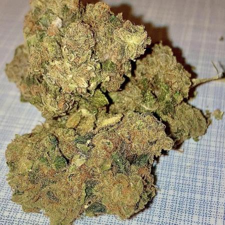 Kandy Kush (feminized)/ indoor