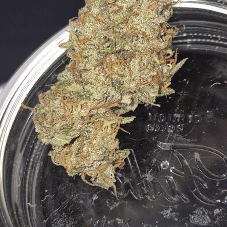 Forbidden Runtz Auto + Green Gelato Auto