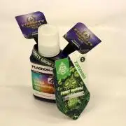 Eternity Grow Cup 2026 - Sticky 🥦