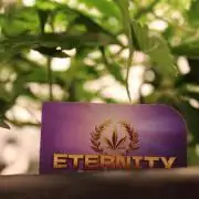 Eternity Grow Cup 2026 - Sticky 🥦