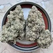 Marshmallow OG - Spring Grow