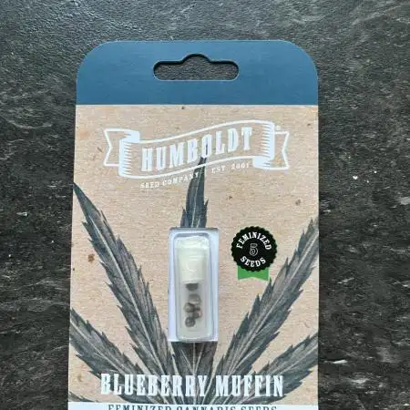 Blueberry Muffins - Guerilla Grow