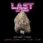 Last Dance in Living Soil
