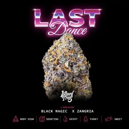 Last Dance in Living Soil