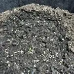Northern Lights Auto. SeedSupreme