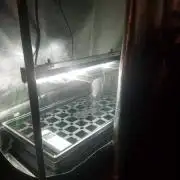 Overkill 101-1000W BlackDog LED in a 4x4