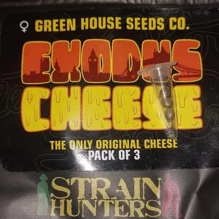 GHS Exodus Cheese / 100% Organic Outdoor