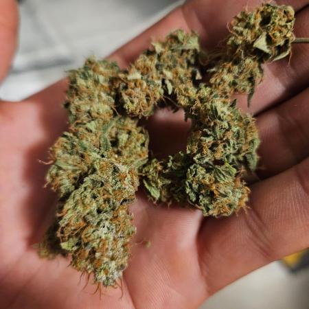 Clones salad run!🤪