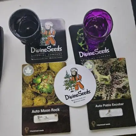Auto moon rock... *Divine seeds contest*