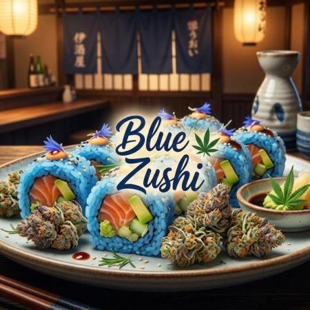 Blue Zushi clone!?🍣🍢🍥