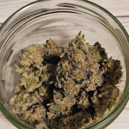 Clones salad run!🤪