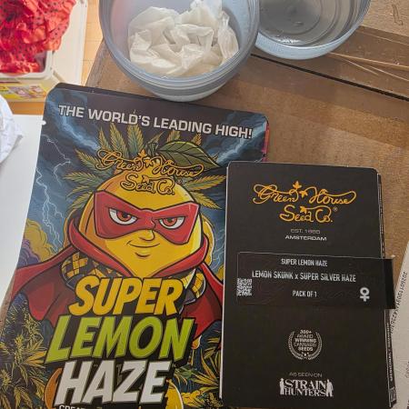 Hazy lemons!🍋🍋