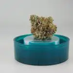 3rd Run Sherbzooka - Pheno #4/#5