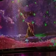 Black Light (Pheno Hunt) Wizard Trees