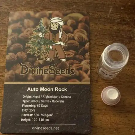 Organic Auto Moon Rock