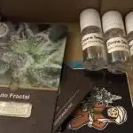 Auto Fractal Organic Grow