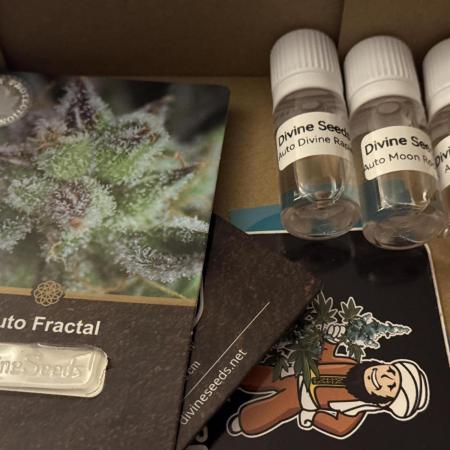 Auto Fractal Organic Grow