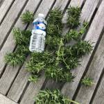 Outdoor Moby Dick XXL 