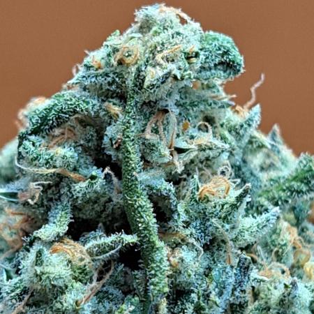 IN Liberty Haze & Biotabs