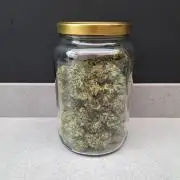 Amnesia Haze Go Fast