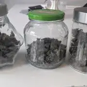 Red Hot Cookies & Purple Punch OG