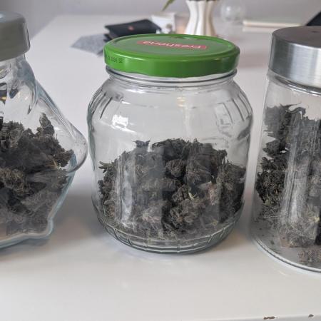 Red Hot Cookies & Purple Punch OG