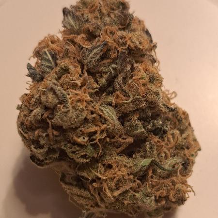 Sweet Cherry Pie by sweet seeds